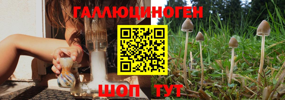 Пенза  Псилоцибиновые грибы MAGIC MUSHROOMS  купить закладку  Вход с VPN  Псилоцибиновые грибы прущие грибы 